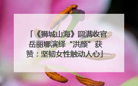 《狮城山海》圆满收官 岳丽娜演绎“洪颜”获赞：坚韧女性触动人心