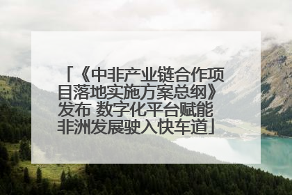 《中非产业链合作项目落地实施方案总纲》发布 数字化平台赋能非洲发展驶入快车道