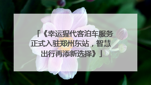 《幸运猩代客泊车服务正式入驻郑州东站，智慧出行再添新选择》