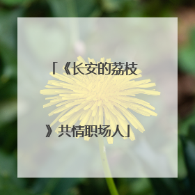 《长安的荔枝》共情职场人