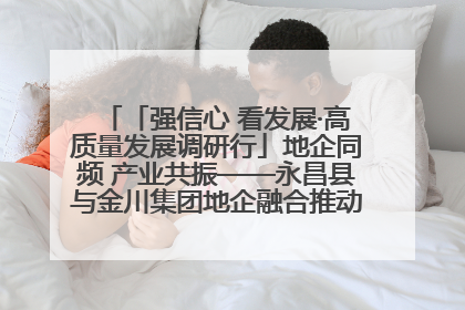 「强信心 看发展·高质量发展调研行」地企同频 产业共振——永昌县与金川集团地企融合推动重大项目建设