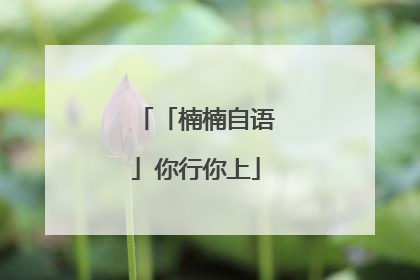 「楠楠自语」你行你上