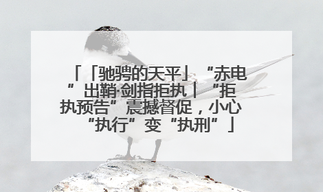 「驰骋的天平」“赤电”出鞘·剑指拒执︱“拒执预告”震撼督促，小心“执行”变“执刑”