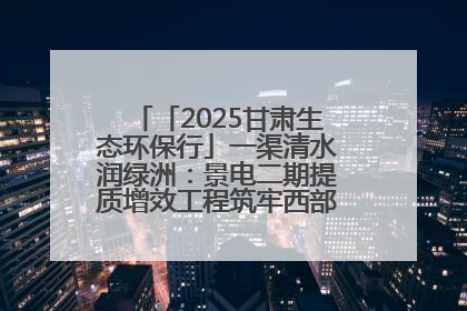 「2025甘肃生态环保行」一渠清水润绿洲：景电二期提质增效工程筑牢西部生态安全屏障
