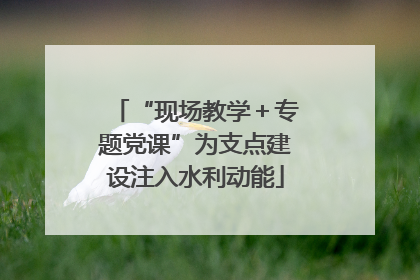 “现场教学＋专题党课”为支点建设注入水利动能