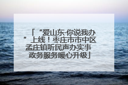 “爱山东·你说我办”上线！枣庄市市中区孟庄镇听民声办实事 政务服务暖心升级