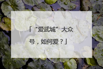 “爱武城”大众号，如何爱？