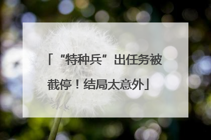 “特种兵”出任务被截停！结局太意外
