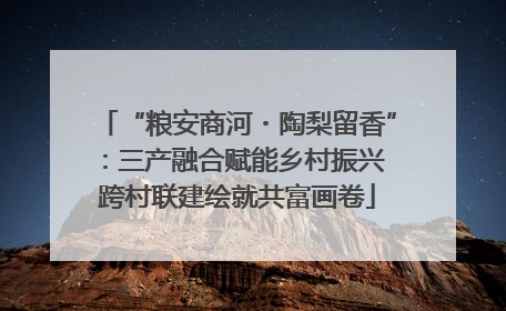 “粮安商河・陶梨留香”：三产融合赋能乡村振兴 跨村联建绘就共富画卷