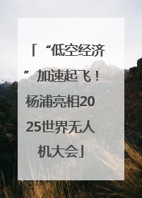 “低空经济”加速起飞！杨浦亮相2025世界无人机大会