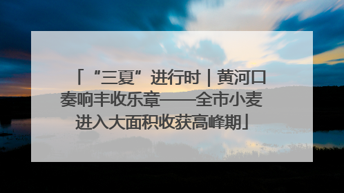 “三夏”进行时｜黄河口奏响丰收乐章——全市小麦进入大面积收获高峰期