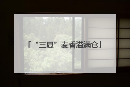 “三夏”麦香溢满仓