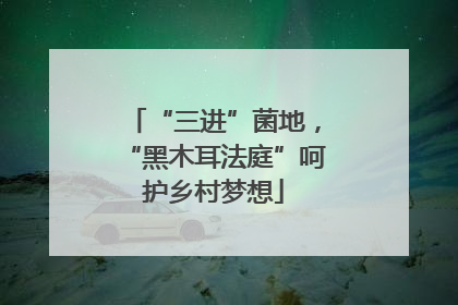 “三进”菌地，“黑木耳法庭”呵护乡村梦想