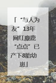 “与人为友”13年 网红麋鹿“点点”已产下8胎幼崽