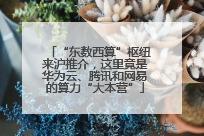 “东数西算”枢纽来沪推介，这里竟是华为云、腾讯和网易的算力“大本营”
