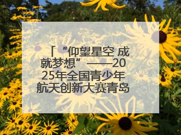 “仰望星空 成就梦想”——2025年全国青少年航天创新大赛青岛选拔赛成功举办