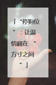 “停狗位 ”：让温情藏在 “方寸之间 ”