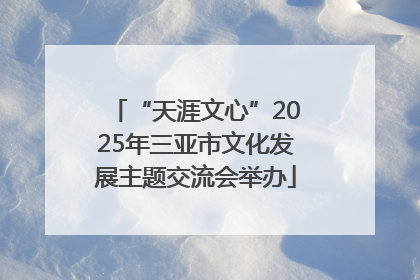 “天涯文心”2025年三亚市文化发展主题交流会举办