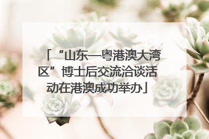 “山东—粤港澳大湾区”博士后交流洽谈活动在港澳成功举办