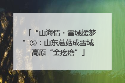 “山海情・雪域援梦”⑤：山东蘑菇成雪域高原“金疙瘩”