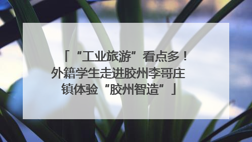 “工业旅游”看点多！外籍学生走进胶州李哥庄镇体验“胶州智造”
