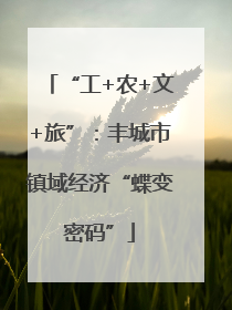 “工+农+文+旅”：丰城市镇域经济“蝶变密码”