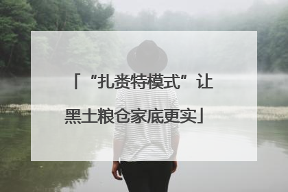 “扎赉特模式”让黑土粮仓家底更实