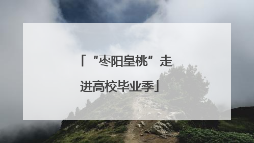 “枣阳皇桃”走进高校毕业季