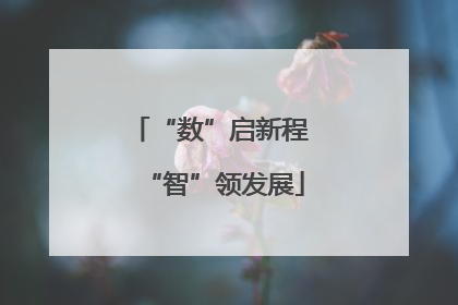 “数”启新程 “智”领发展