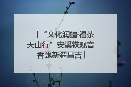 “文化润疆·福茶天山行”安溪铁观音香飘新疆昌吉