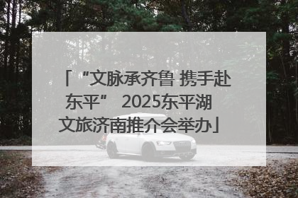 “文脉承齐鲁 携手赴东平” 2025东平湖文旅济南推介会举办