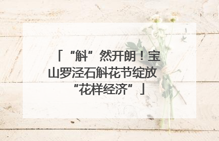 “斛”然开朗！宝山罗泾石斛花节绽放“花样经济”