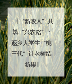 “新农人”共筑“兴农路”：返乡大学生“桃三代”让老树结新果