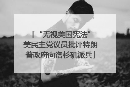 “无视美国宪法” 美民主党议员批评特朗普政府向洛杉矶派兵