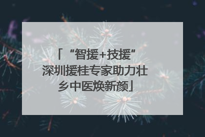 “智援+技援” 深圳援桂专家助力壮乡中医焕新颜