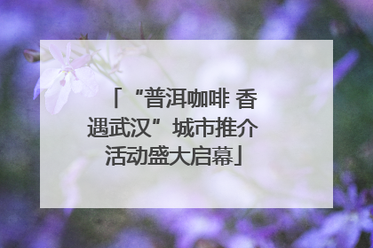 “普洱咖啡 香遇武汉”城市推介活动盛大启幕