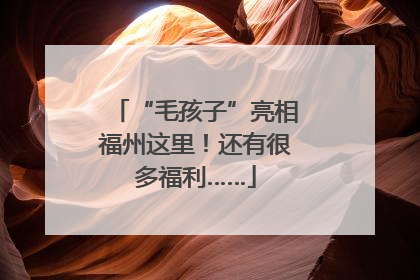 “毛孩子”亮相福州这里！还有很多福利……