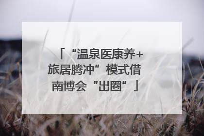 “温泉医康养+旅居腾冲”模式借南博会“出圈”