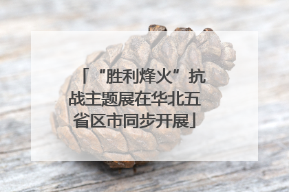 “胜利烽火”抗战主题展在华北五省区市同步开展