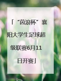 “茵浪杯”襄阳大学生足球超级联赛6月11日开赛