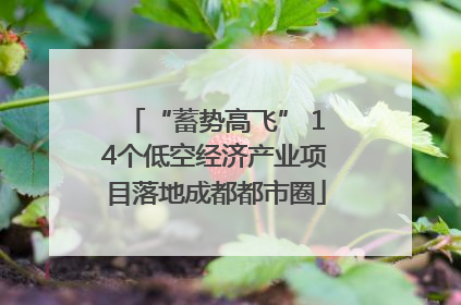 “蓄势高飞” 14个低空经济产业项目落地成都都市圈