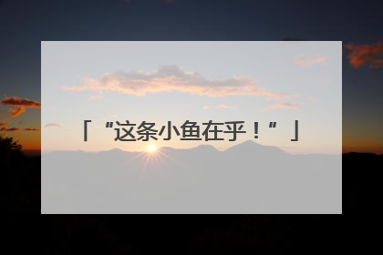 “这条小鱼在乎！”