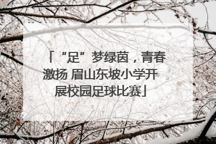 “足”梦绿茵，青春激扬 眉山东坡小学开展校园足球比赛
