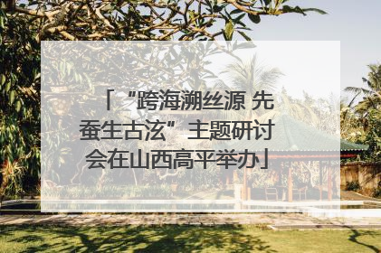 “跨海溯丝源 先蚕生古泫”主题研讨会在山西高平举办