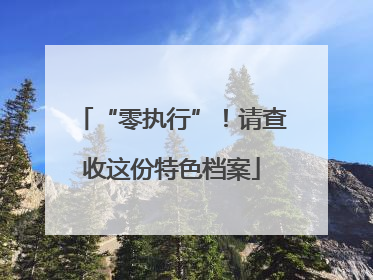 “零执行”！请查收这份特色档案