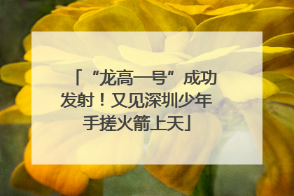 “龙高一号”成功发射！又见深圳少年手搓火箭上天