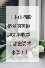 玉山四股桥乡的黄桃迎来丰收季，甜蜜诱惑来袭！
