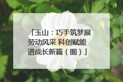 玉山：巧手筑梦展劳动风采 科创赋能谱成长新篇（图）