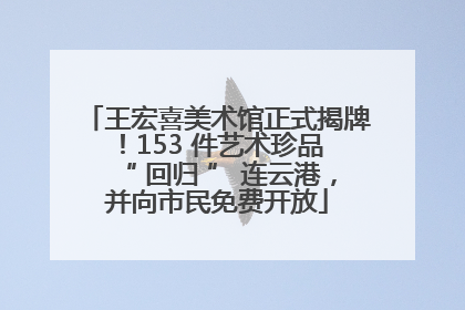 王宏喜美术馆正式揭牌！153 件艺术珍品 “ 回归 ” 连云港，并向市民免费开放