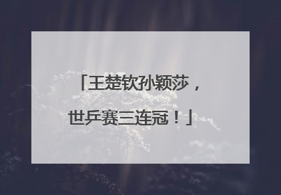 王楚钦孙颖莎，世乒赛三连冠！